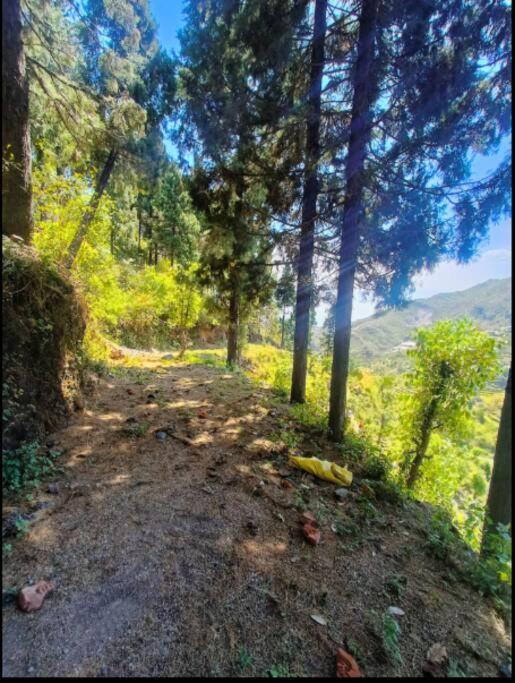 The Hill Story, Entire Chalet, Offbeat,Cozy Mussoorie Exterior foto
